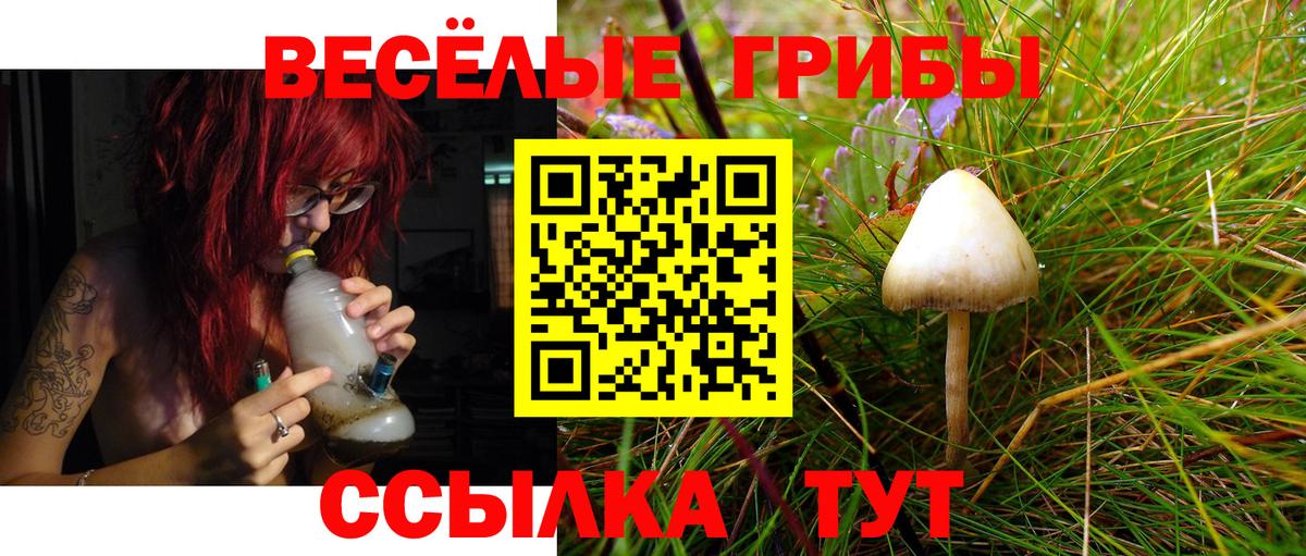 Псилоцибиновые грибы GOLDEN TEACHER  Вход с VPN  Качканар 